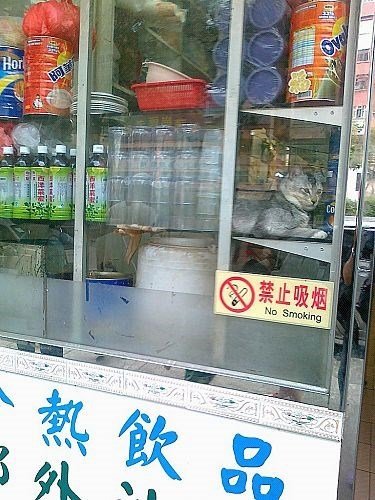 潮輝麵家