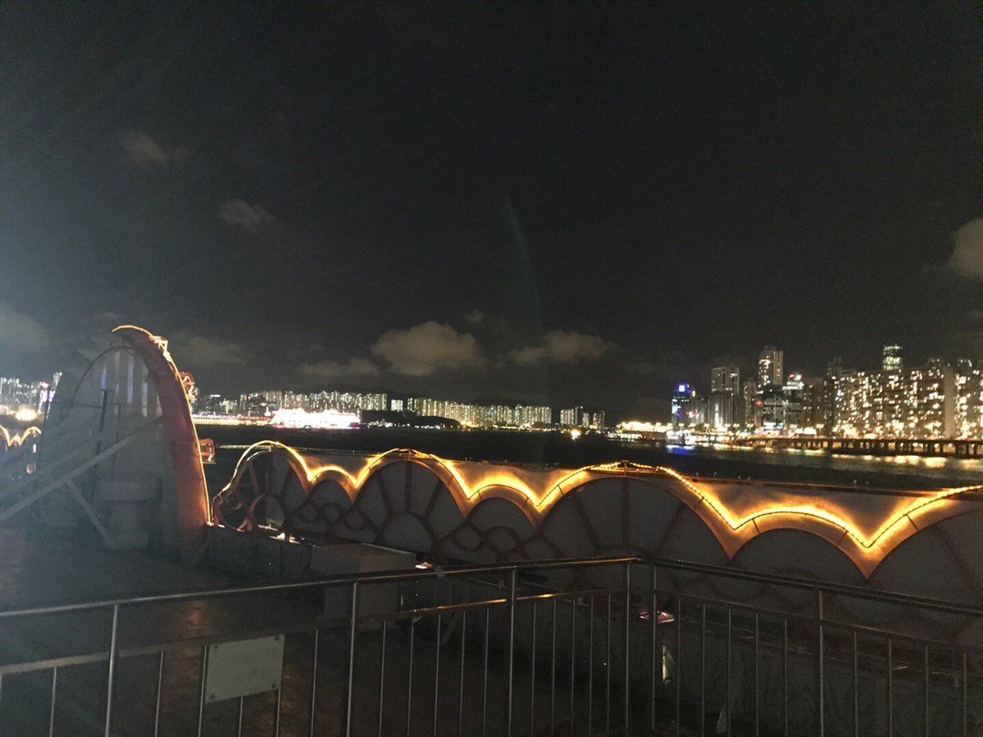 洋紫荊維港遊